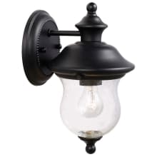 Highland 11" Tall Outdoor Steel Wall Sconce with Seedy Glass Shade