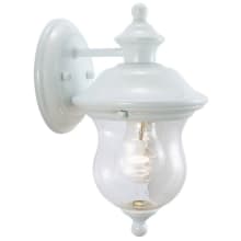 Highland 11" Tall Outdoor Wall Sconce with Seedy Glass Shade