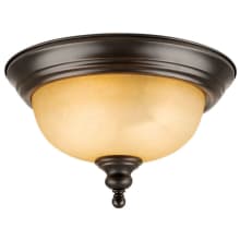 Bristol 2 Light 13" Wide Flush Mount Ceiling Fixture with Amber Shade