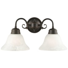Millbridge 2 Light 17" Wide Vanity Light with Frosted Glass Shades