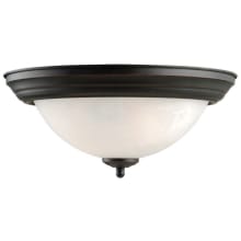 Millbridge 2 Light 13" Wide Flush Mount Ceiling Fixture with Frosted Glass Shade