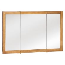 Richland 48" Framed Triple Door Mirrored Medicine Cabinet