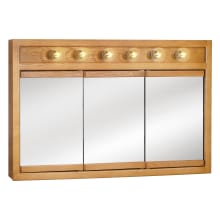 Richland 48" Framed Triple Door Mirrored Medicine Cabinet with 6 Lights