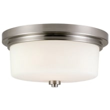 Aubrey 2 Light 13" Wide Flush Mount Drum Ceiling Fixture with Frosted Glass Shade