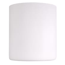 Aubrey 6" W x 6" L Frosted Glass Shade