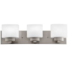 Dove Creek 3 Light 24" Wide Vanity Light with Frosted Glass Shades - 180 Watts