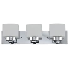 Dove Creek 3 Light 24" Wide Vanity Light with Frosted Glass Shades