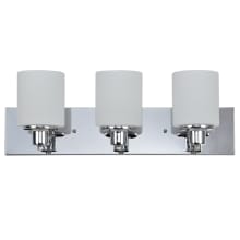Dane 3 Light 24" Wide Vanity Light with Frosted Glass Shades