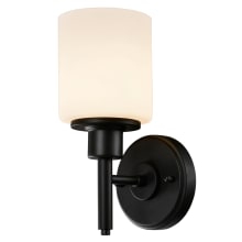 Aubrey 11" Tall Wall Sconce with Frosted Glass Shade