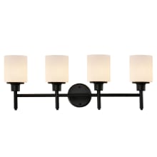 Aubrey 30" Wide Vanity Light with Frosted Glass Shade