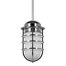 Seaton 5" Wide Cage Mini Pendant with Frosted Glass Shade