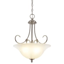 Willowdale 3 Light 16" Wide Pendant with Alabaster Glass Shade