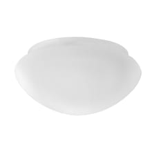 Millbridge 10" W x 5" L Glass Lighting Shade