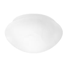 Millbridge 7" W x 4" L Glass Lighting Shade