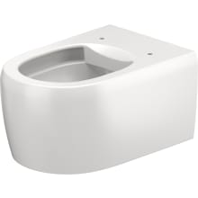 Qatego Wall Mounted Elongated Toilet Bowl Only