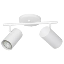 Calloway 2 Light 13" Wide Fixed Rail Ceiling Fixture