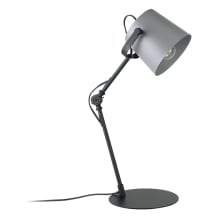 Goodall 17" Tall Spotlight Table Lamp