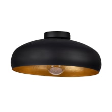 Mogano 16" Wide Semi-flush Ceiling Fixture