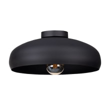 Mogano 16" Wide Semi-flush Ceiling Fixture