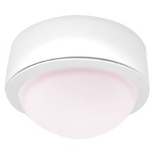 Mini Frosted Glass Dome Surface Mount Downlight