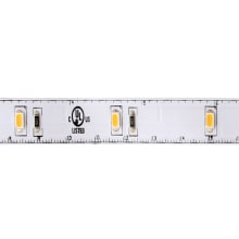 Ambio 16' Long 4000K 24V LED Tape Light - 185 Lumens