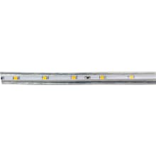 90' Long White LED Rope Light - 90 Lumens per Feet