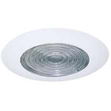 4" Shower Trim with Fresnel Lens and Reflector