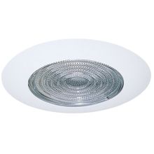 4" Shower Trim with Fresnel Lens