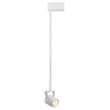 50W Low-Voltage Cylinder Fixture with 48" Stem Extension