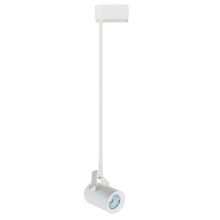 50W Low-Voltage Round Back with 12" Stem Extension