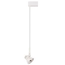 50W Low-Voltage Clasp Fixture with 12" Stem Extension