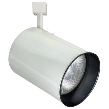 150W Line Voltage PAR38 Flat Back Cylinder with Black Coilex Baffle