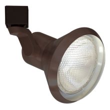 75W Line Voltage PAR30 Solid PAR Classic Fixture