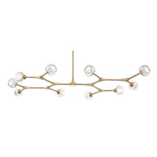 Zayne 10 Light 35" Wide Multi Light Pendant