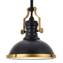 Eamon 13" Wide Pendant with an Aluminum Shade
