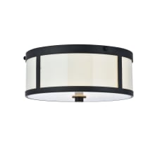 Hadrian 2 Light 12" Wide Flush Mount Drum Ceiling Fixture with Frosted Glass Shade