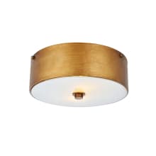 Hazen 2 Light 12" Wide Flush Mount Drum Ceiling Fixture with Frosted Glass Shade - Vintage Gold