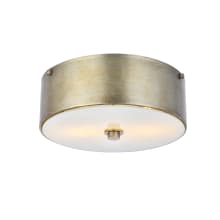 Hazen 2 Light 12" Wide Flush Mount Drum Ceiling Fixture with Frosted Glass Shade - Vintage Silver