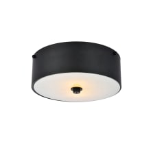 Hazen 2 Light 12" Wide Flush Mount Drum Ceiling Fixture with Frosted Glass Shade - Flat Black