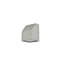 Raine 6" Tall LED Outdoor Wall Sconce