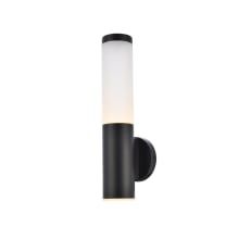 Raine 16" Tall LED Outdoor Wall Sconce - Cylindrical