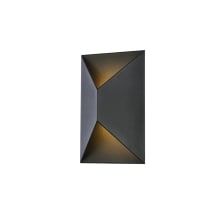 Raine 7" Wide LED Outdoor Wall Sconce