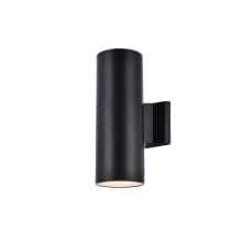 Raine 12" Tall Outdoor Wall Sconce - Cylindrical Fixture