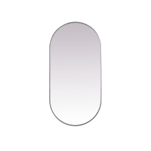 Asha 60" x 30" Oval Flat Iron and Medium Density Fiberboard (MDF) Accent Mirror