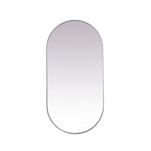 Asha 72" x 36" Oval Flat Iron and Medium Density Fiberboard (MDF) Accent Mirror