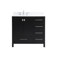 Irene 36" Free Standing Single Basin Vanity Set with Cabinet, Engineered Marble Vanity Top, and Backsplash