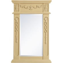 Lenora 28" x 18" Rectangular Beveled Wood Framed Accent Mirror