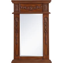 Lenora 28" x 18" Rectangular Beveled Wood Framed Accent Mirror