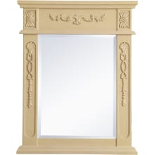 Lenora 28" x 22" Rectangular Beveled Wood Framed Accent Mirror