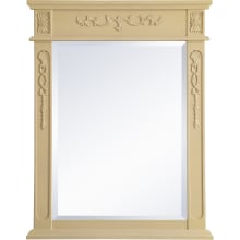 Lenora 36" x 28" Rectangular Beveled Wood Framed Accent Mirror